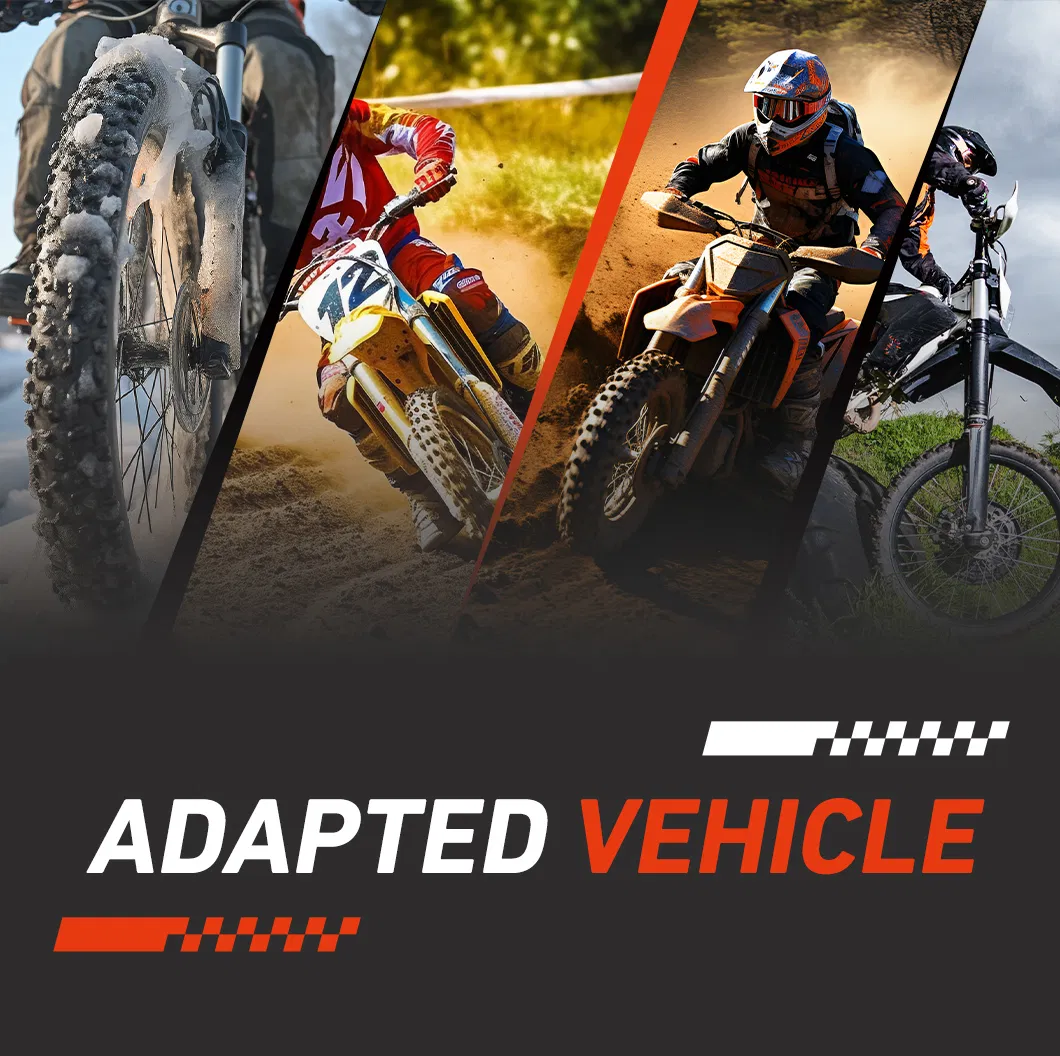 ~!phoenix_varIMG49!~